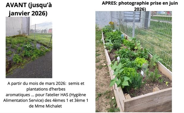 Capture d’écran 2026-07-03 à 10.04.41 - Moyenne.jpeg